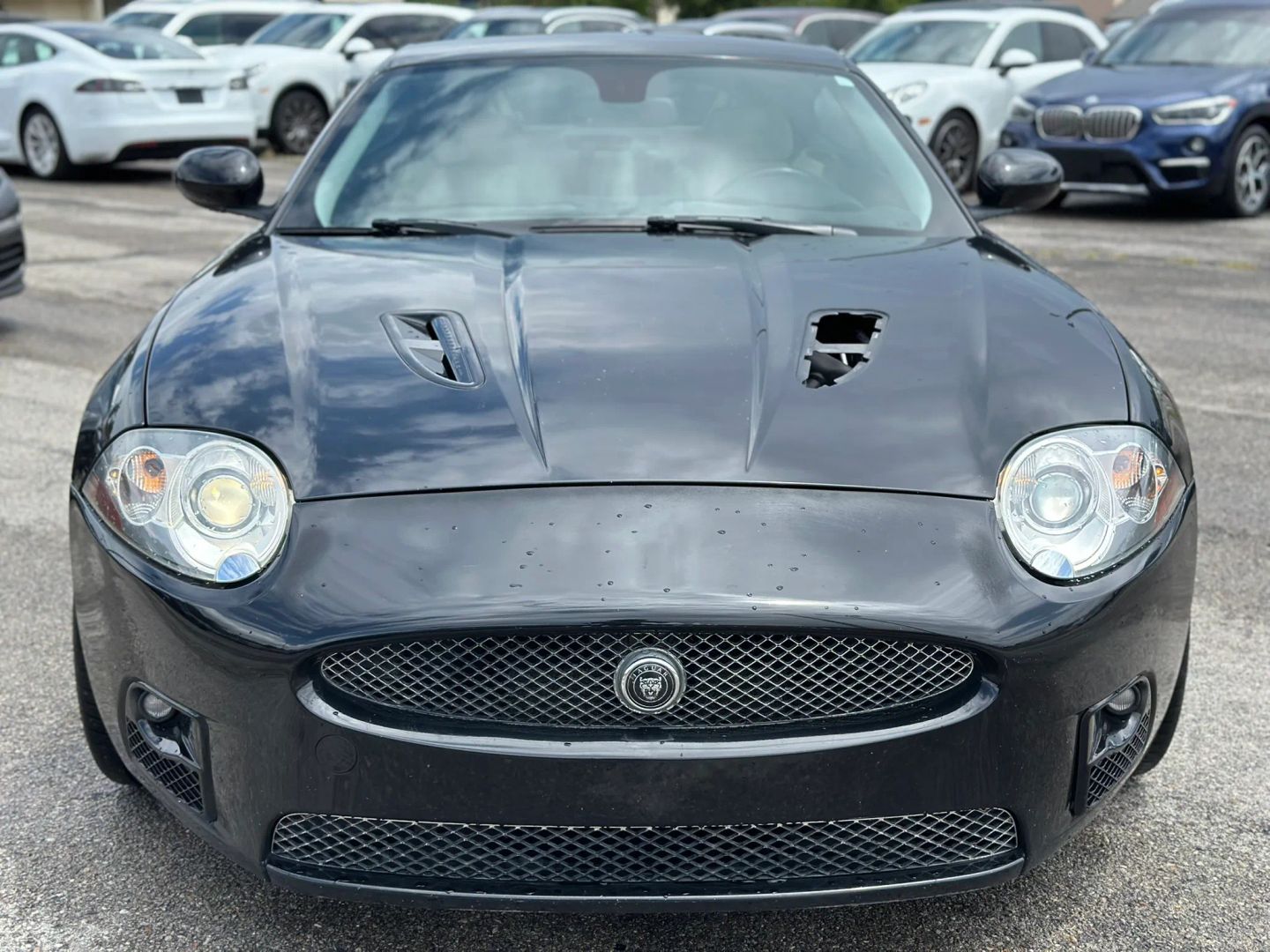 jaguar xk series 2007 SAJWA43C379B15576 image jaguar xk series 2007 SAJWA43C379B15576 image